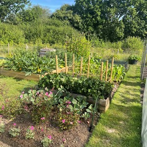 Allotments