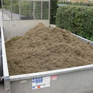 Thatch Removed