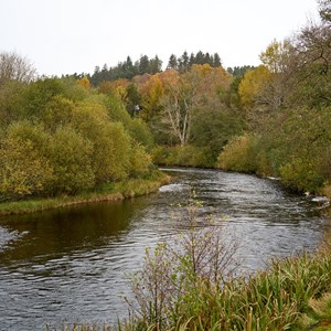 North Tyne river, Falstone