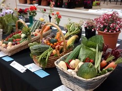Mannings Heath & District Horticultural Society Summer Show 2019
