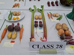 Bucklebury and Marlston Horticultural Society Summer Show 2026