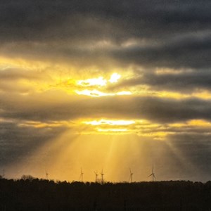 Newton on the Moor & Swarland Parish Council GALLERY