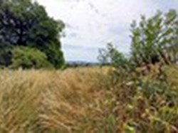 Walking through tall swaying grass along field edges, there were lovely views into the distance. ©EH