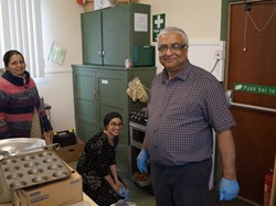 2017 Curry and Quiz Night