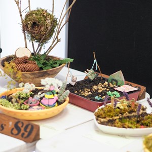 HBT Horticultural Society Photographs 2025