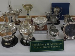 Bucklebury and Marlston Horticultural Society Autumn Show 2025