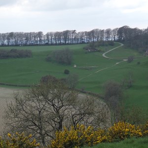 Hilton Parish Council Hilton Parish Gallery