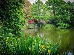 Tendring Parish Council Home