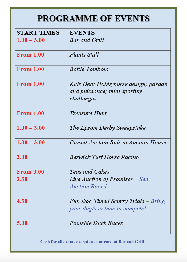 Berwick St James Parish Berwick Village Fayre - 8th June 2025