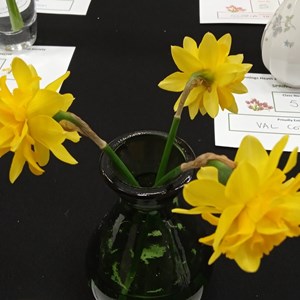 Mannings Heath & District Horticultural Society Photo Gallery