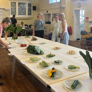 Mickleham and Westhumble Horticultural Society Show July 2026