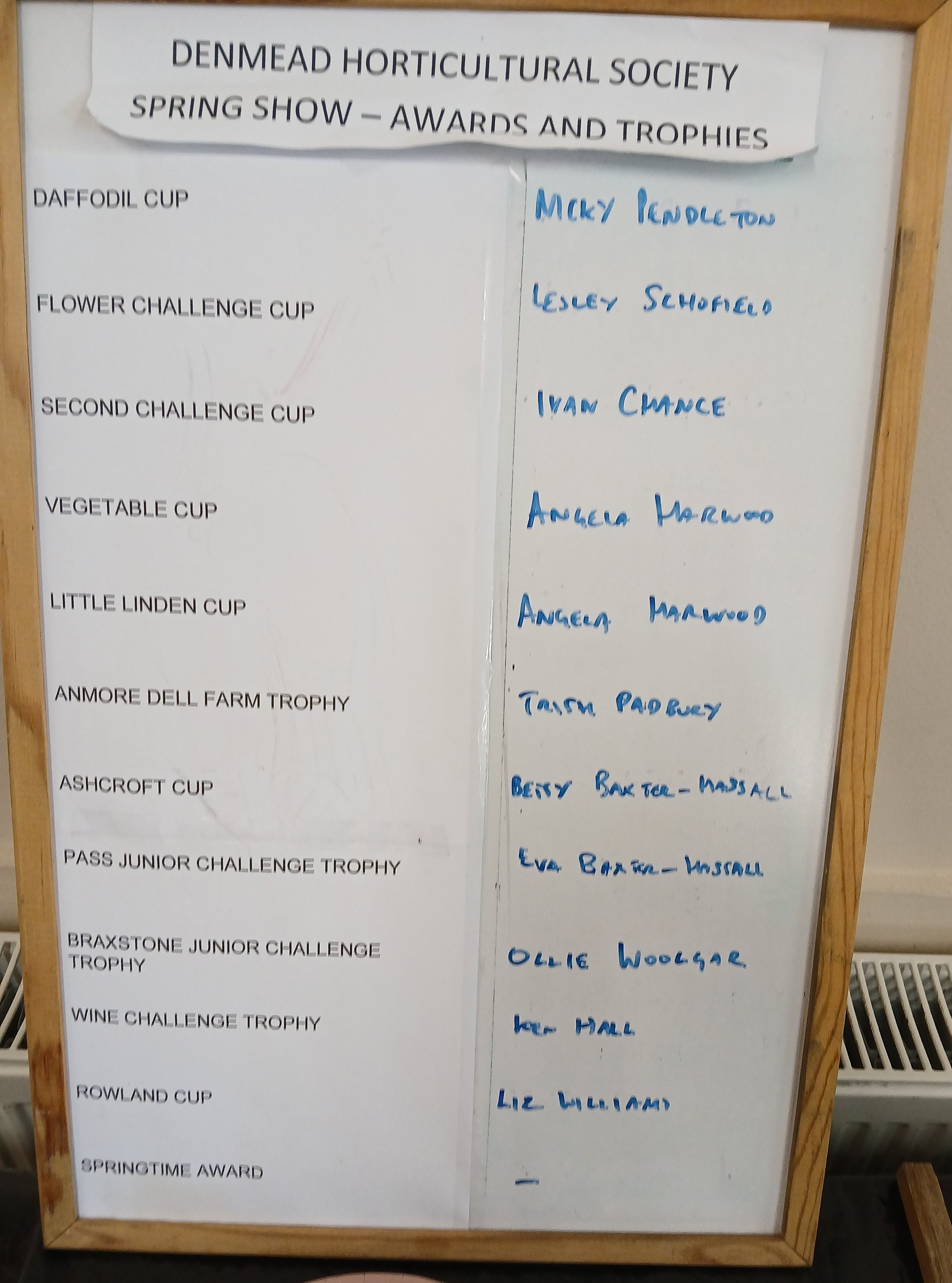 Spring Show 25 Cups