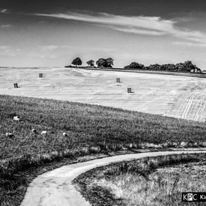 Gallery, Kingsclere Neighbourhood Plan