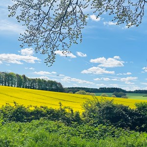 Dummer Parish Council Home