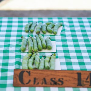 HBT Horticultural Society Photographs 2025