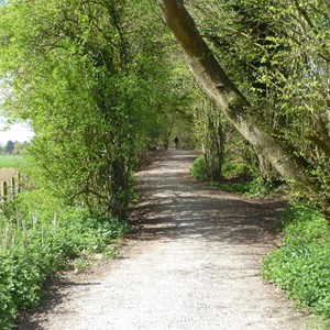 View from Parlour Gates crossing looking towards Oakley