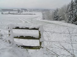 Cuddesdon and Denton Parish Council Gallery