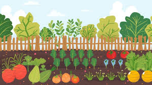 Berrington Parish Council Cross Houses Community Allotments