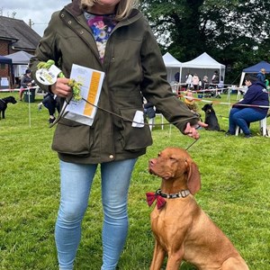 Whixall Social Centre Whixall Companion Dog Show 2024