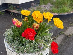 Bicton Parish Council Community Page