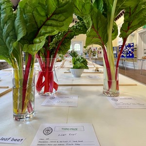 Mickleham and Westhumble Horticultural Society Show July 2026