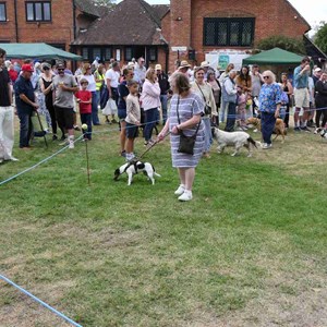 Goodworth Clatford Parish Council  Fete 2026 photos