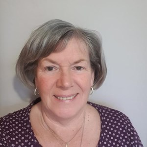 CLLR LIZ DUNN - Chair