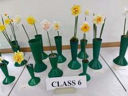 Bucklebury and Marlston Horticultural Society Spring Show Report 2026