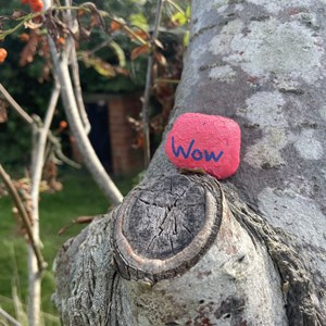 Collies Garden Painted Stone - 15 Sept 2026 (M Trueman)