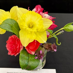 Mannings Heath & District Horticultural Society Photo Gallery