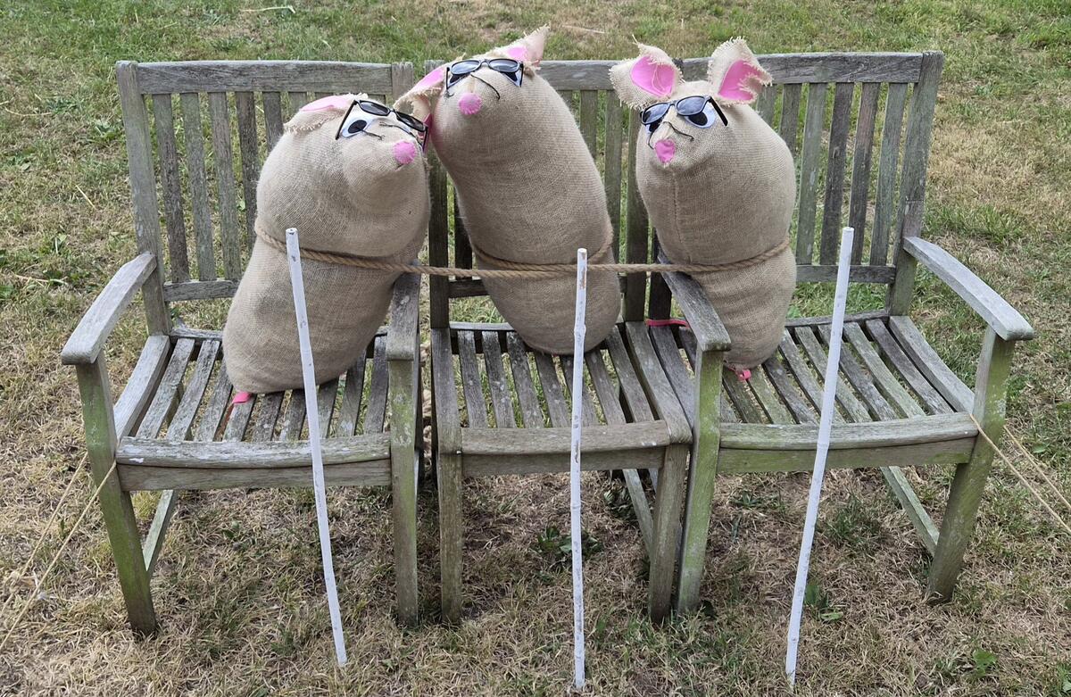 3 Blind Mice