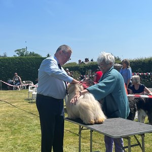 Whixall Social Centre Whixall Dog Show 2023 Report and Phots