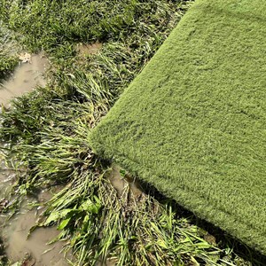 West Knoyle Parish Council Latest News