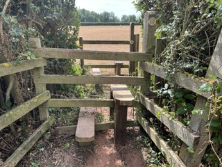 New Footbeds on 0557/13