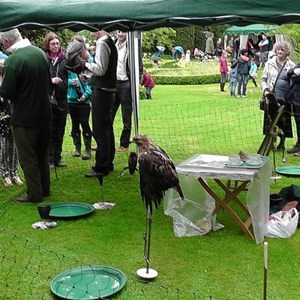 Maidford Parish Council Summer Fete