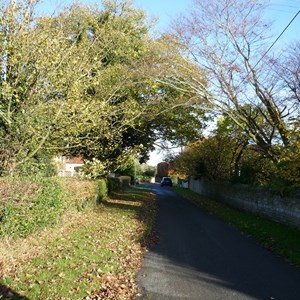 Temple Grafton Parish Council Gallery