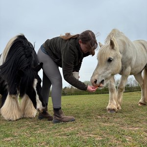 Louth & District Lions Lincolnshire Wolds RDA