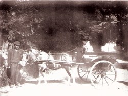 Beaumont Parish Council Kirkandrews on Eden