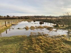 Flooding at Havannah