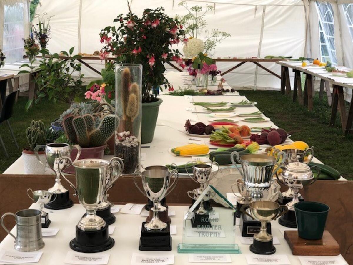 Oakhanger Village Hall Flower Show and Dog Show - 4th August
