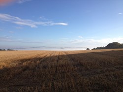 Arable farmland