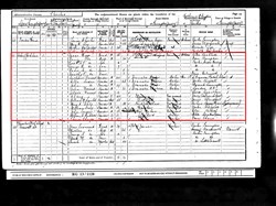 Census 1901