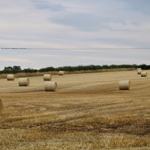 Lincolnshire Association of Agricultural Valuers How to Join