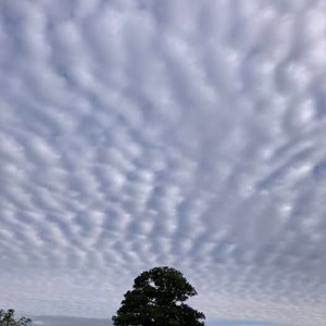 Clouds - Debbie Cary