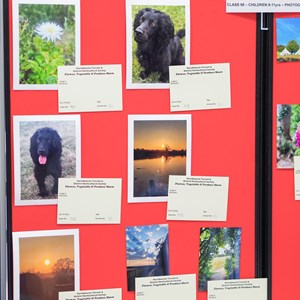 HBT Horticultural Society Photographs 2025