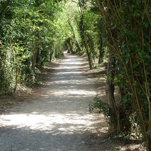 Path alongside Wells Copse