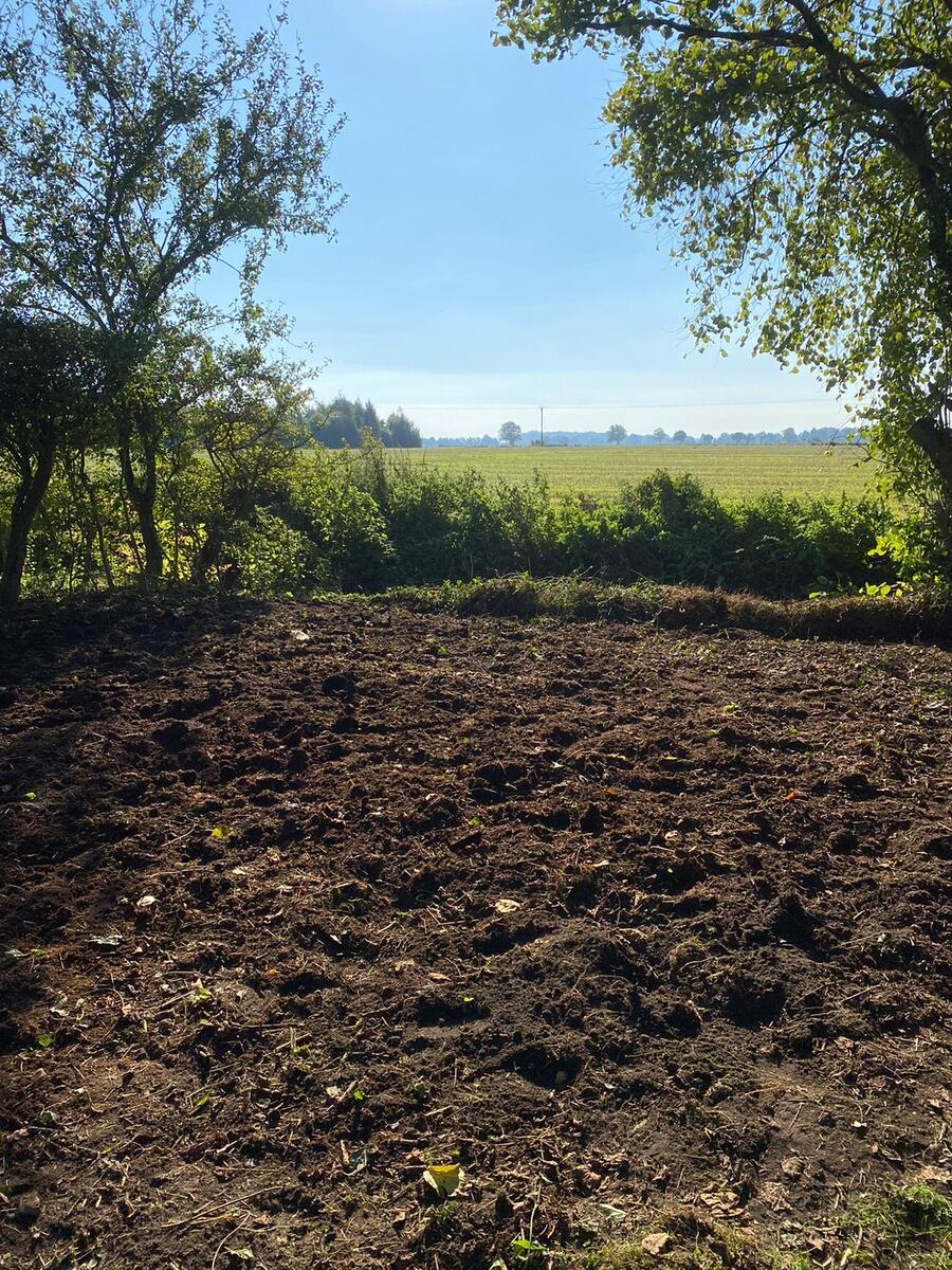 Update, October 2024.  The rear trees have been pruned, and the roundels under the fruit trees re-established.