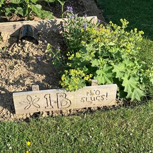 Benenden Parish Council Allotment Association