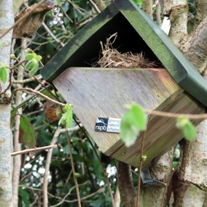 Trinity Methodist Church Wildlife Garden