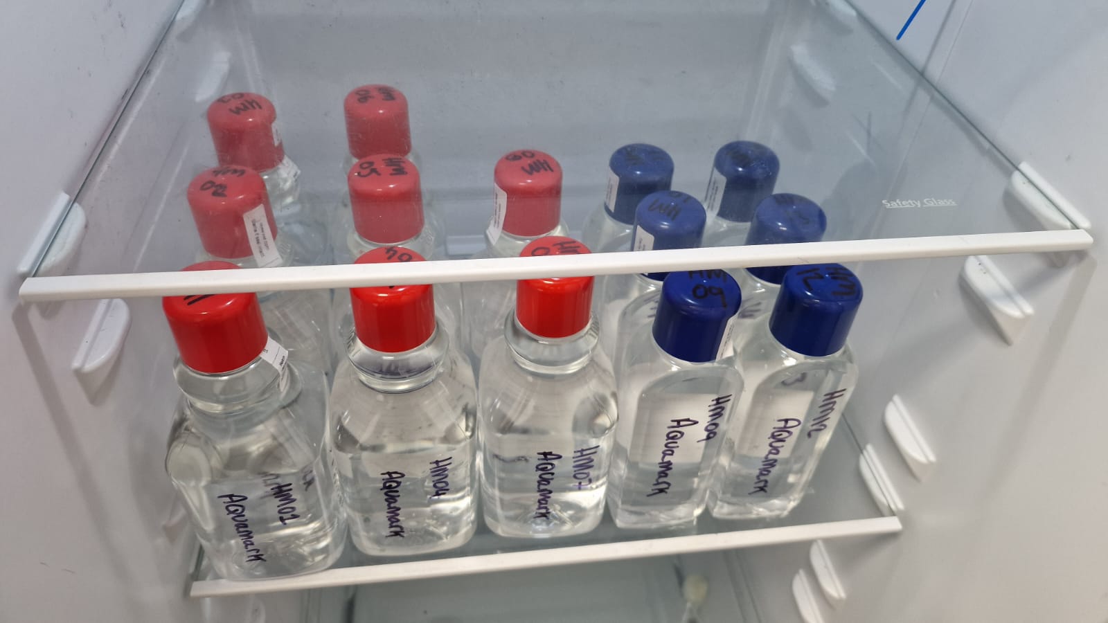 Aquamark Environmental Sampling